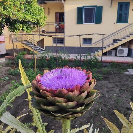 Bed and Breakfast Antoniet Napoli Esterno foto