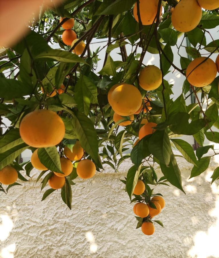 Bed and Breakfast Antoniet Napoli Esterno foto