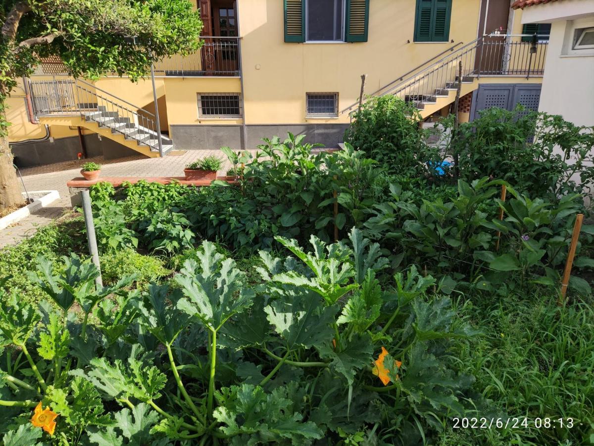 Bed and Breakfast Antoniet Napoli Esterno foto