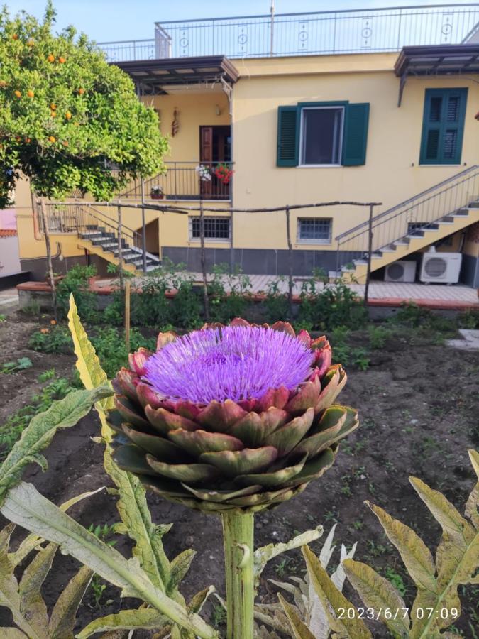 Bed and Breakfast Antoniet Napoli Esterno foto